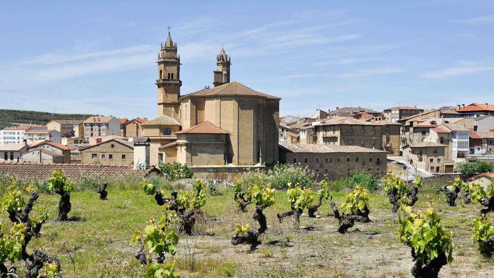 Rioja Wine Region