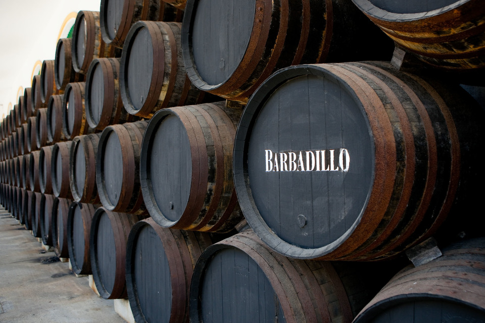 Bodega Barbadillo