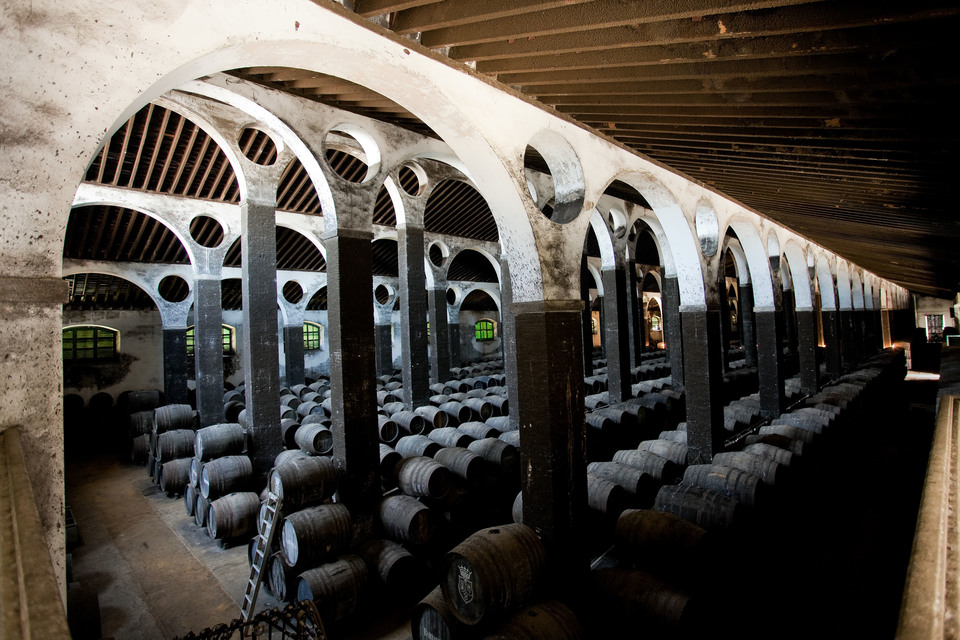 Bodega Barbadillo