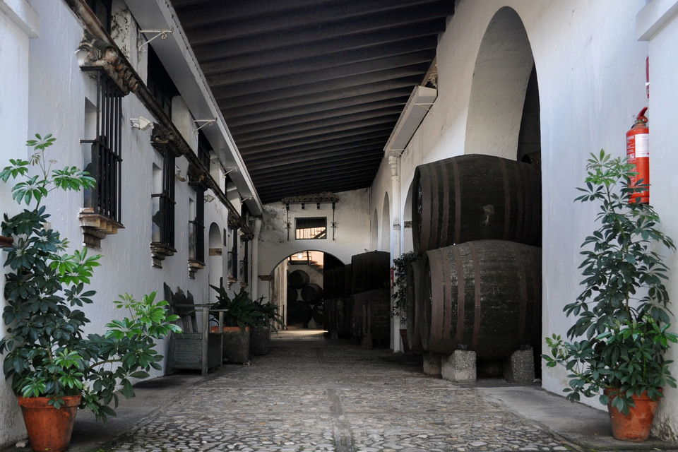 Bodega Barbadillo